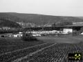 Blick vom Emmlerweg Richtung Langenberg, Erzgebirge Sachsen, (D) (7) 02.03.2014.JPG